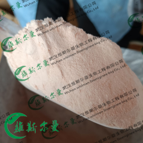 乳铁蛋白CAS#112163-33-4|