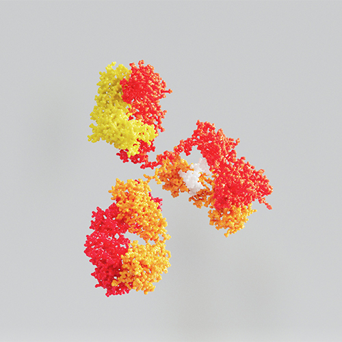 人TROP-2蛋白, His Tag