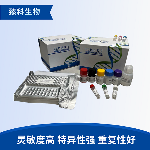 人肠脂肪酸结合蛋白(iFABP）检测试剂盒