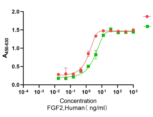 Recombinant Human Heat Stable bFGF