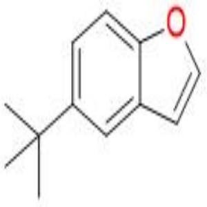 5-(叔丁基)苯并呋喃