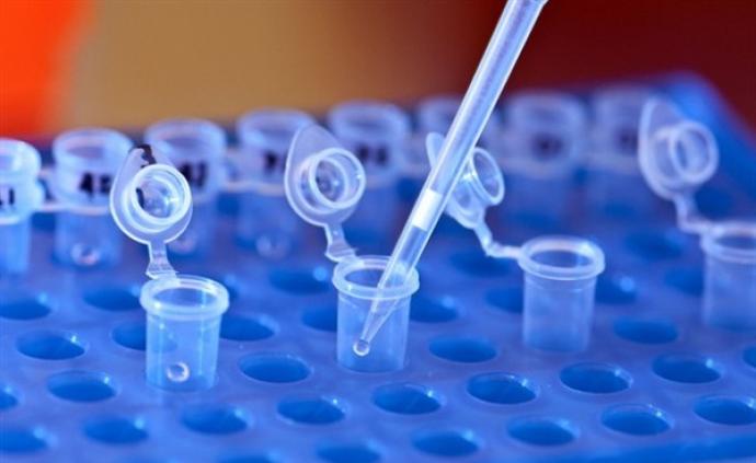 沃来西脱蓝B，12769-16-3生物实验染色剂