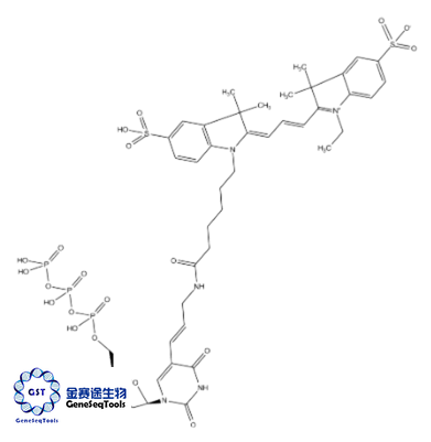 NA | Cy3-dCTP/CY3-DCTP/cy3-dctp