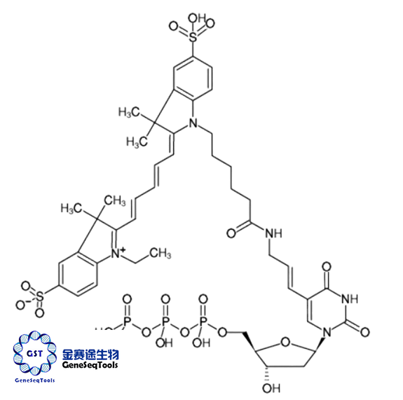 Cy5-dCTP/CY5-DCTP/cy5-dctp