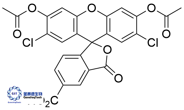 144489-09-8 | 5-Carboxy-DCF DA  5-羧基-DCF DA