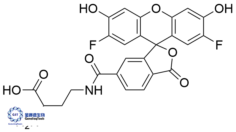 2758364-01-9 | Oregon Green D-amino Acid OGDA 俄勒冈绿 D-氨基酸