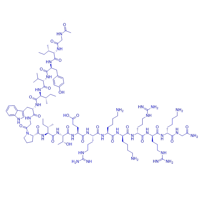 跨膜(TM)结构域多肽Q14 peptide/Q14