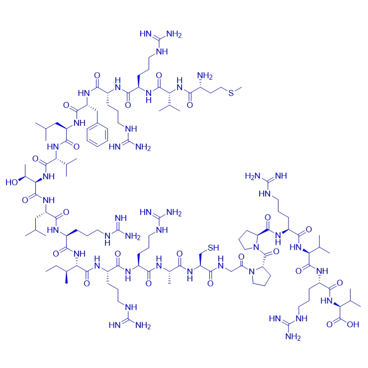载体多肽ARF(1-22)/1027629-94-2/ARF(1-22)