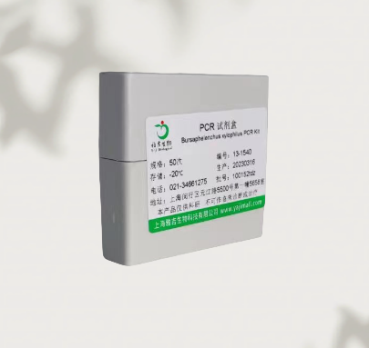 乙型流感病毒探针法荧光定量RT-PCR试剂盒