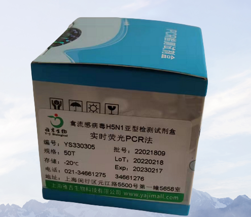 克雷伯菌探针法荧光定量PCR试剂盒