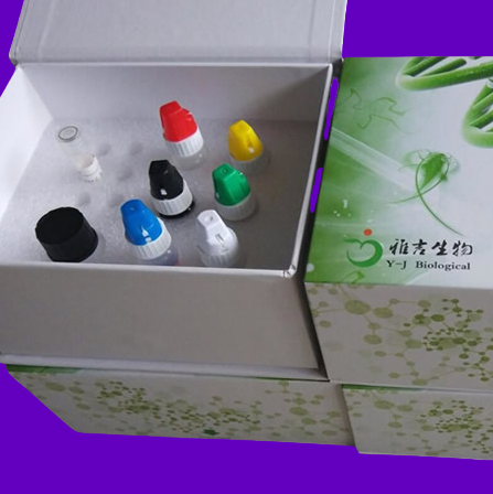 鼠呼肠孤病毒3型探针法荧光定量RT-PCR试剂盒