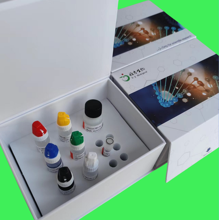 奥叶兹基氏病病毒探针法荧光定量PCR试剂盒