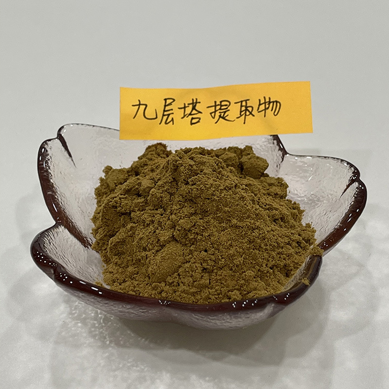 九层塔提取物