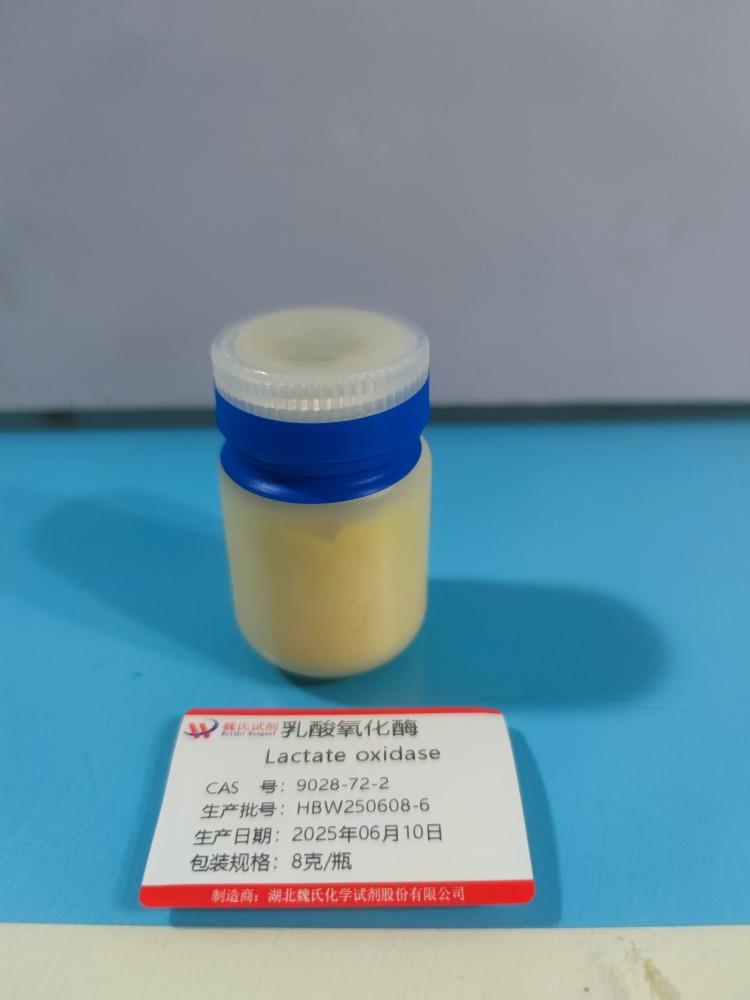 乳酸氧化酶—9028-72-2发货 (3).jpg