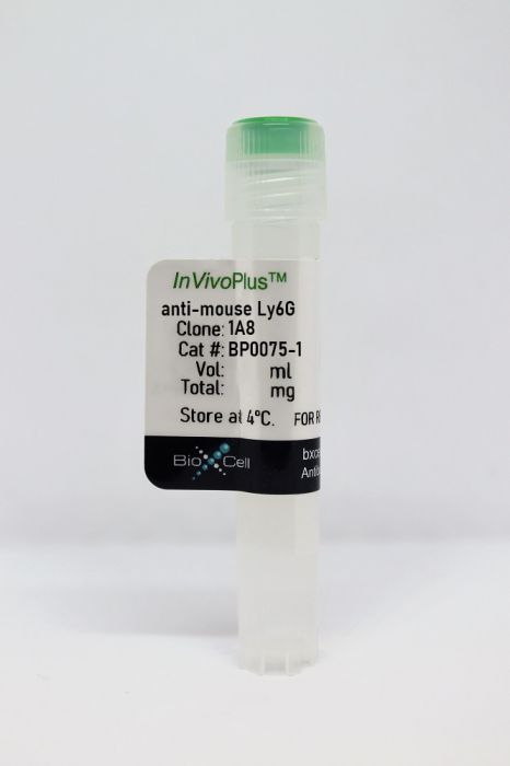 抗小鼠 Ly6G 抗体