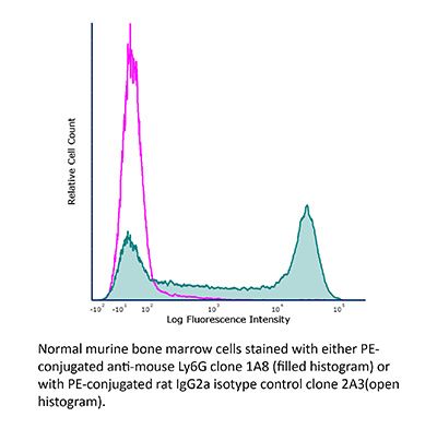抗小鼠 Ly6G 抗体
