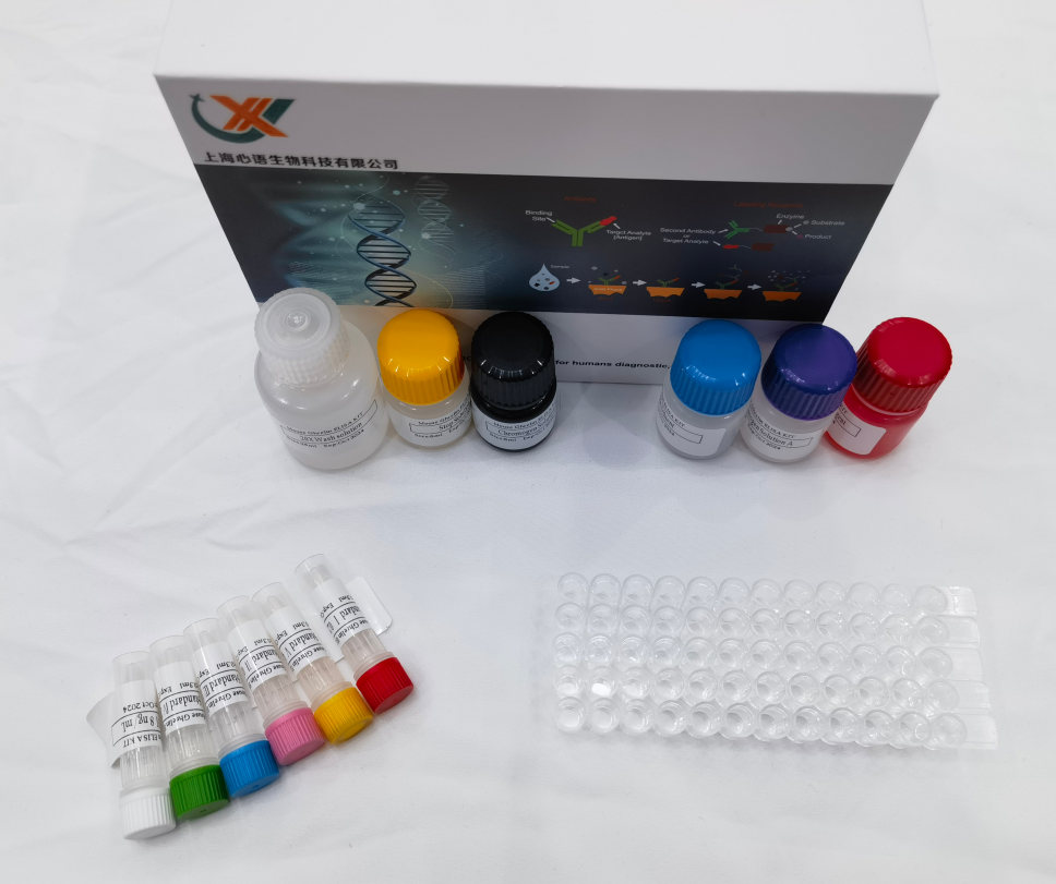 猪白细胞介素2(IL-2)ELISA试剂盒