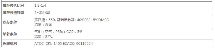 image 2020121311563591422