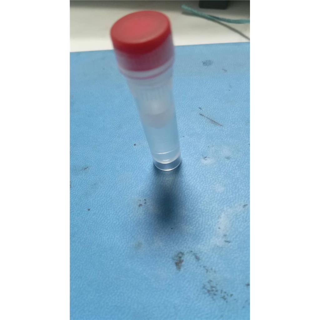 荧光素酶，61970-00-1萤火虫发光实验