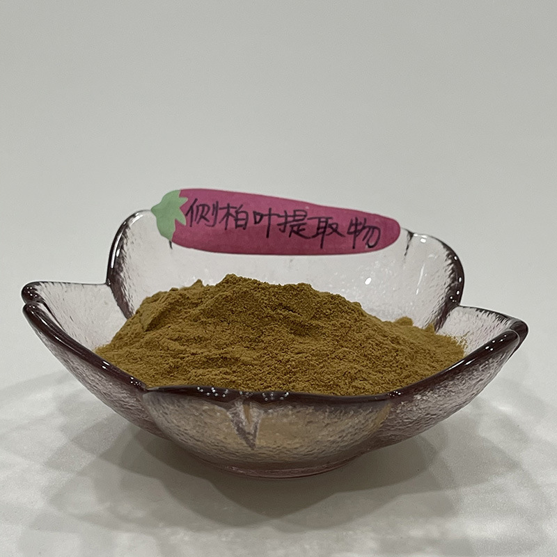 侧柏叶提取物
