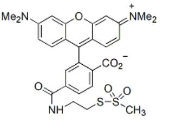 MTS-TAMRA，1329837-19-5，一种巯基选择性荧光化合物