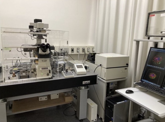 人套细胞淋巴瘤细胞Jeko-1