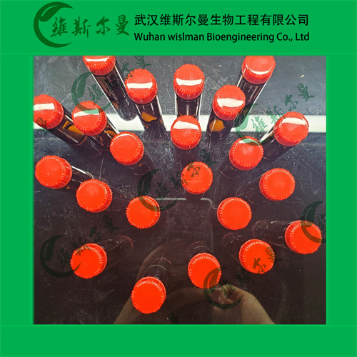 尿酸酶-9002-12-4-酶活力 ≥10U/MG-酶类科研试剂-找维斯尔曼王华