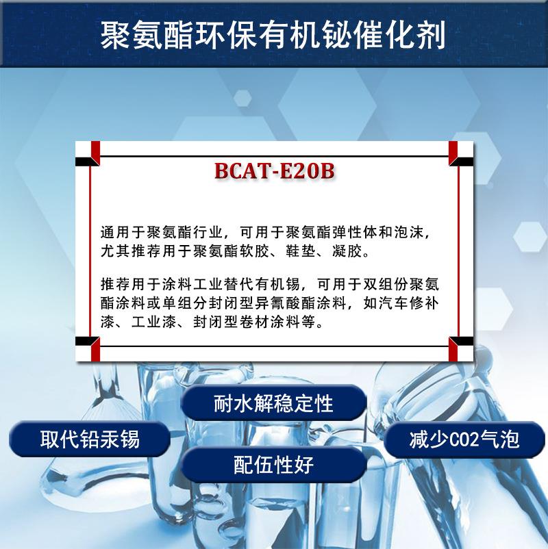 BCAT-E20B详1.jpg