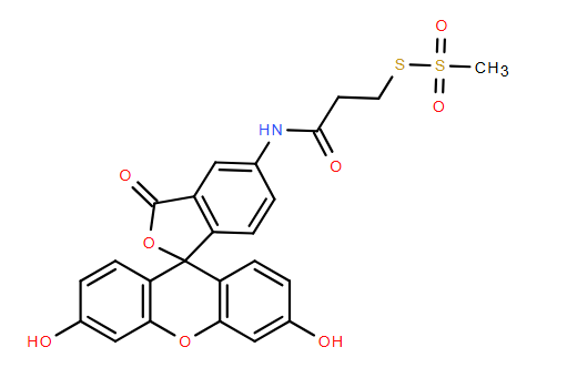 351330-42-2， FITC-MTS，实验室中重要的工具