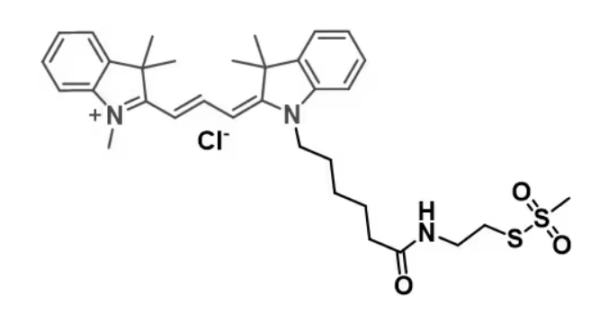 Cy3-MTS，花青素Cy3标记MTS，MTS是一种带正电的巯基特异性试剂