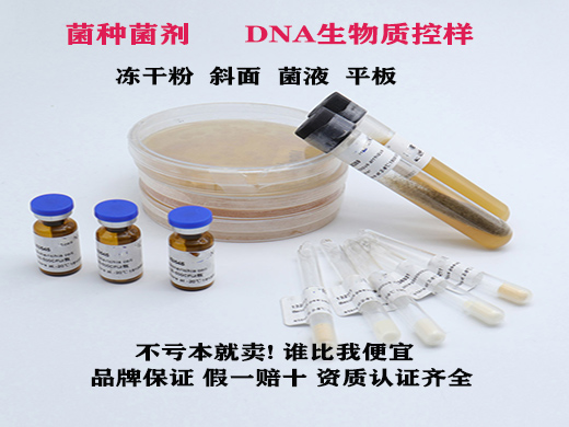 铜绿假单胞菌(标准菌株，定量菌种)