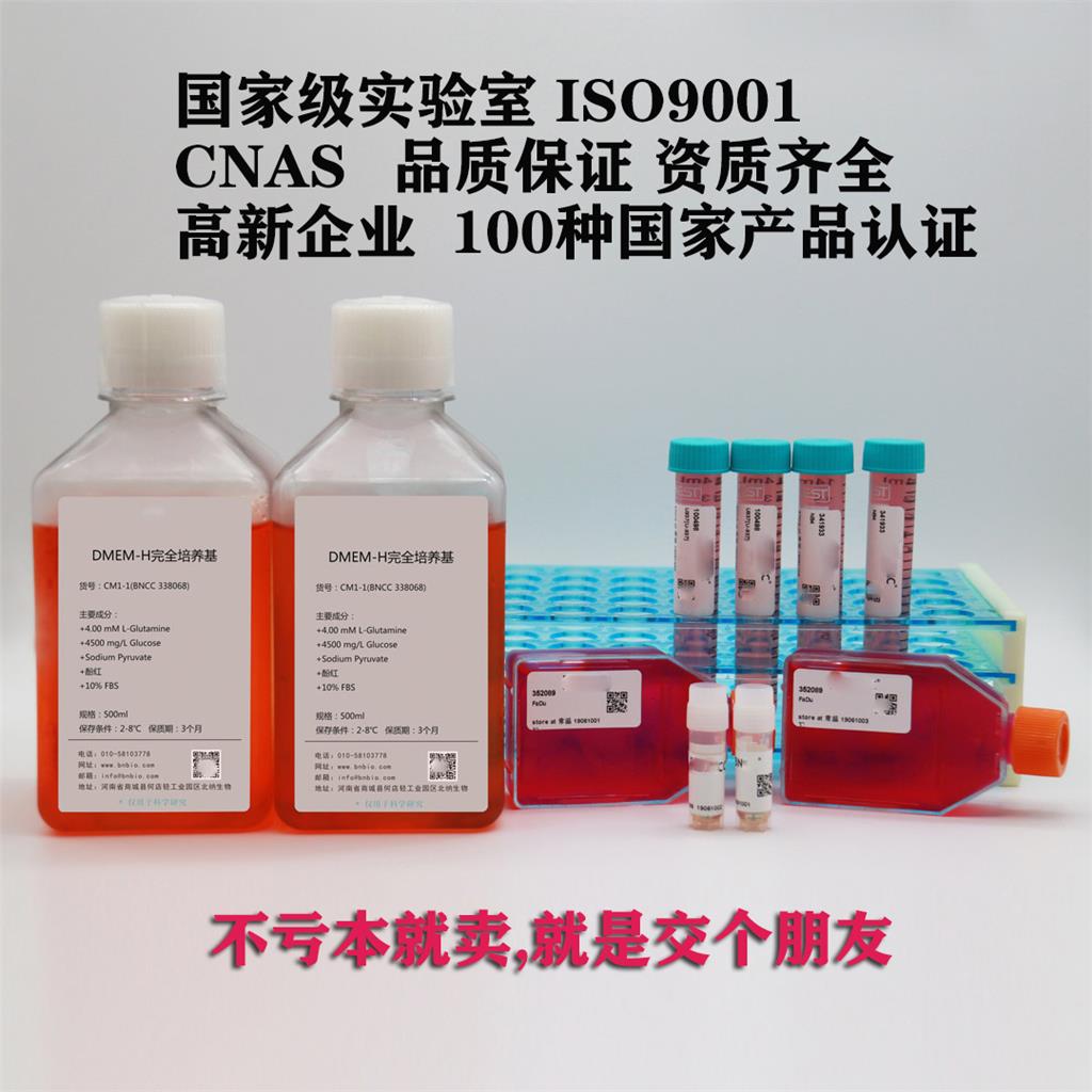 铜绿假单胞菌(标准菌株，定量菌种)