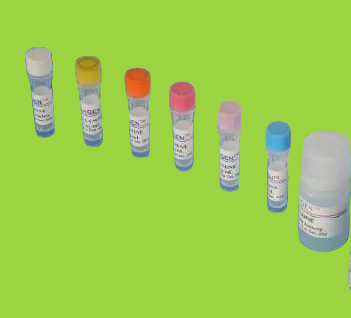  猪轮状病毒探针法荧光定量RT-PCR试剂盒