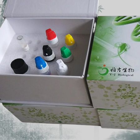 人疱疹病毒8型探针法荧光定量PCR试剂盒