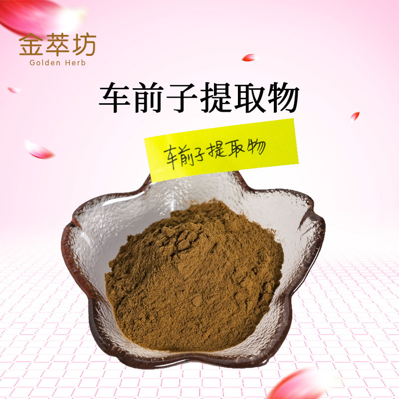 车前子提取物