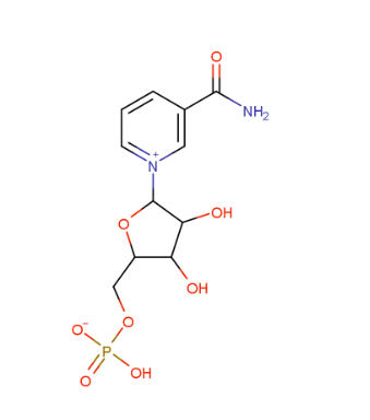 β-烟酰胺单核苷酸