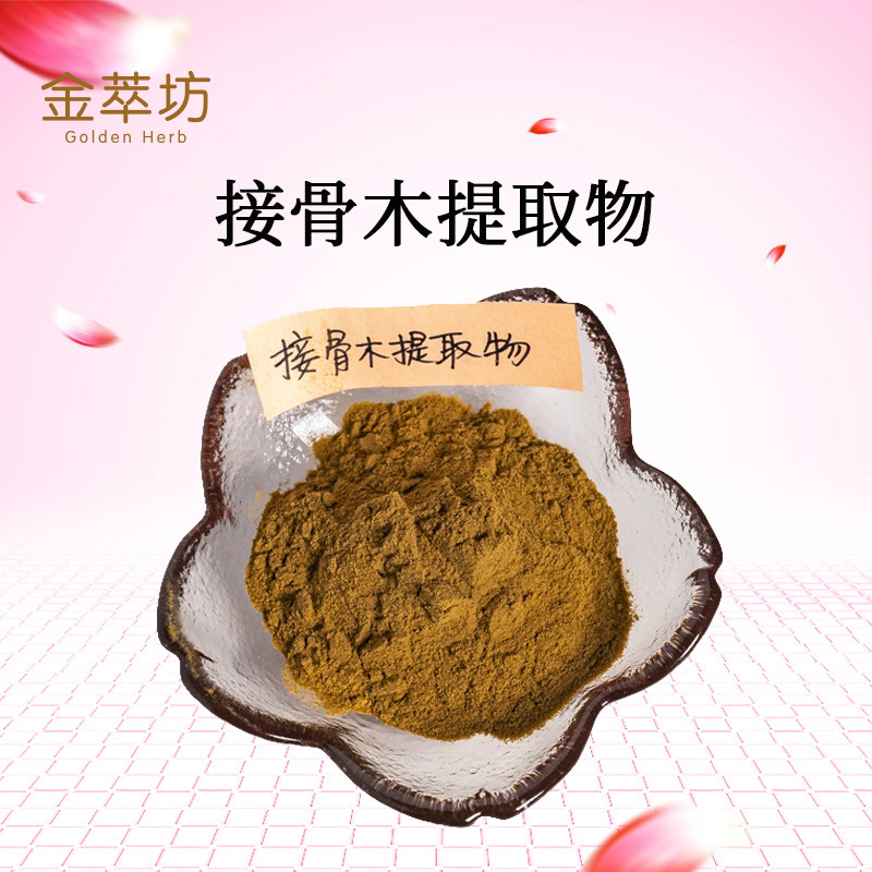 接骨木提取物