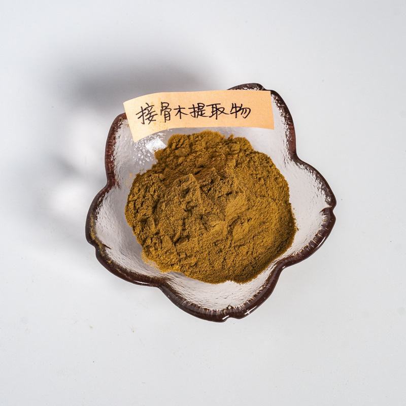 接骨木提取物