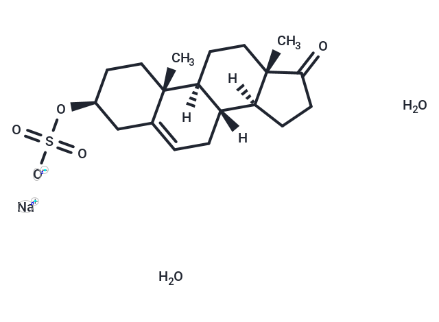 化合物 Prasterone sulfate sodium hydrate|T26366L|TargetMol