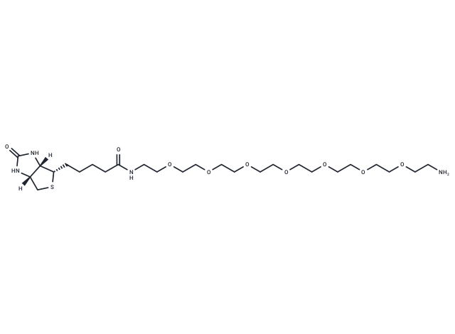 化合物 Biotin-PEG7-amine|T20328|TargetMol