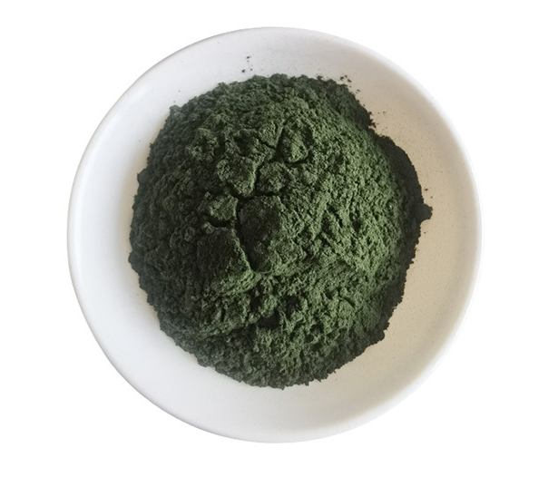 小球藻粉 蛋白核小球藻 破壁小球藻粉