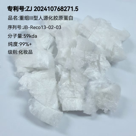 重组III型人源化胶原蛋白（三螺旋结构）海绵99%