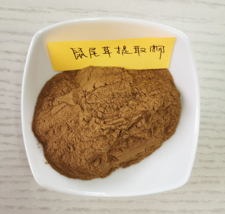 鼠尾草提取物 水溶鼠尾草 全草植物喷中草药萃取浸膏粉