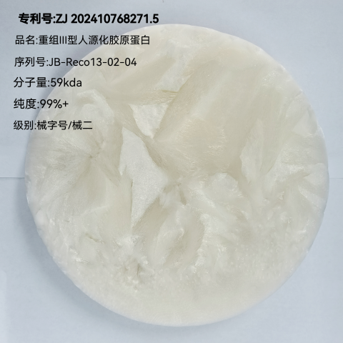 重组III型人源化胶原蛋白（三螺旋结构）海绵 99%医疗器械级/械二