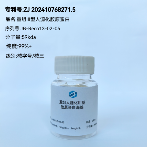 重组III型人源化胶原蛋白（三螺旋结构）海绵 99%医疗器械级/械三