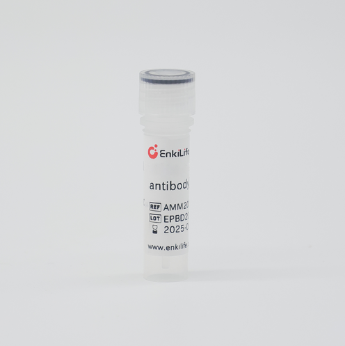 小鼠抗人IgG(Fc特异性) | 二抗 | EnkiLife恩玑生命