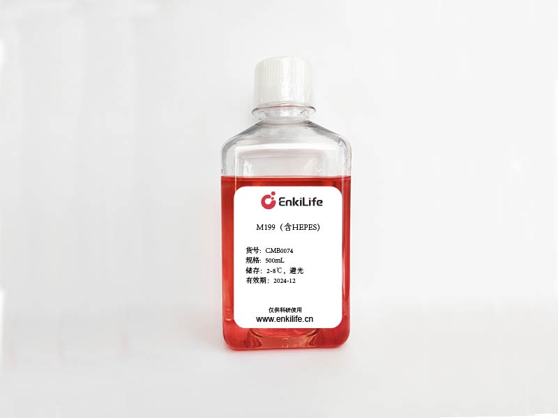 M199（含HEPES） | 液体 | EnkiLife恩玑生命