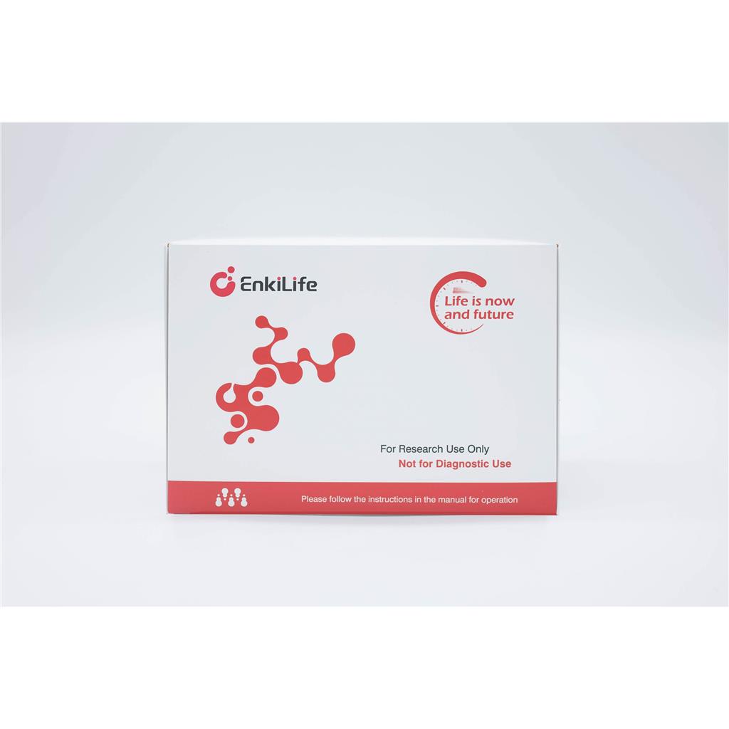 脂质过氧化物测定试盒 | Lipid Peroxide  | LPO | EnkiLife恩玑生命