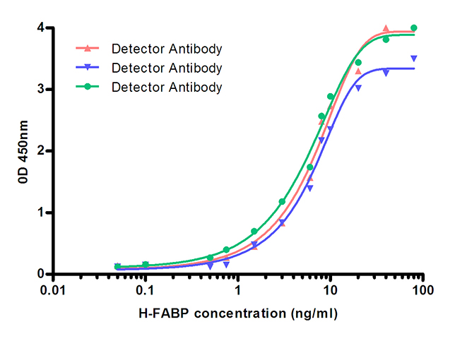 FABP3 (3E8B10) Mouse Monoclonal Antibody | 鼠单抗 | EnkiLife恩玑生命