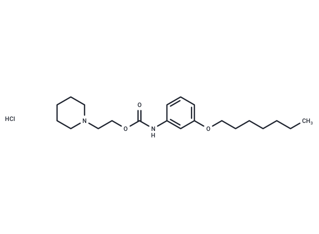 化合物 Carbanilic acid, m-heptyloxy-, 2-piperidinoethyl ester, hydrochloride|T30726|TargetMol